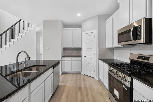 16411 GINGER XING Elmendorf, TX 78112