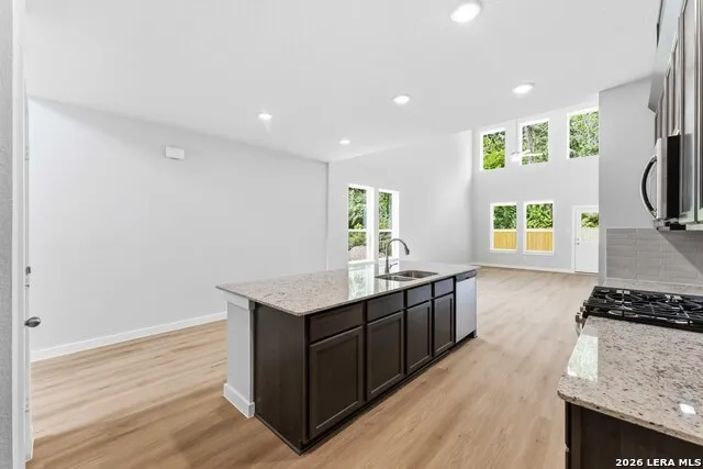 16506 Sweet Cicely Elmendorf, TX 78112