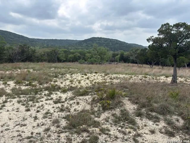595 CANYON FRST Helotes, TX 78023
