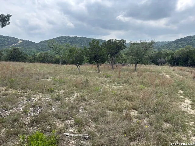 595 CANYON FRST Helotes, TX 78023