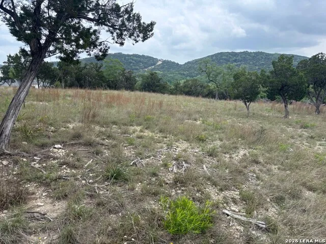 595 CANYON FRST Helotes, TX 78023