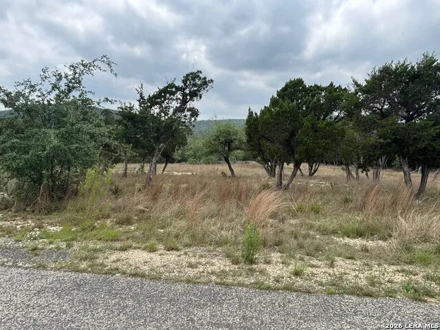 595 CANYON FRST Helotes, TX 78023