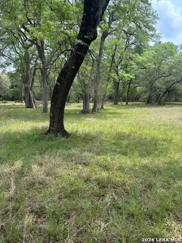 595 CANYON FRST Helotes, TX 78023