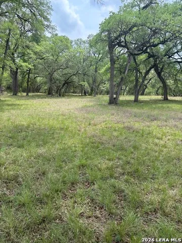 595 CANYON FRST Helotes, TX 78023