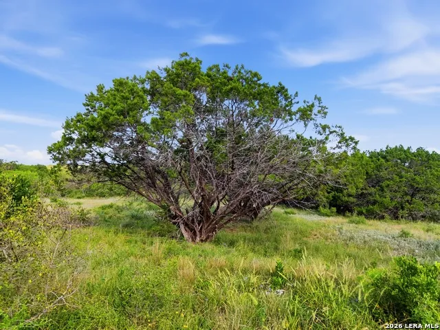 33360 S Hwy 55 Uvalde, TX 78801