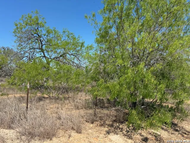 165 Bailee Poteet, TX 78065