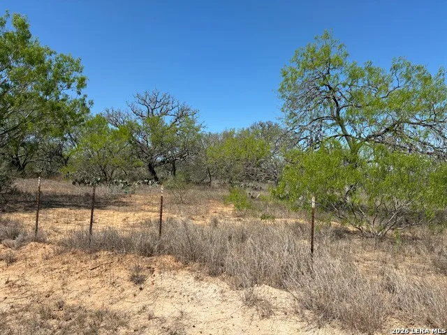 165 Bailee Poteet, TX 78065