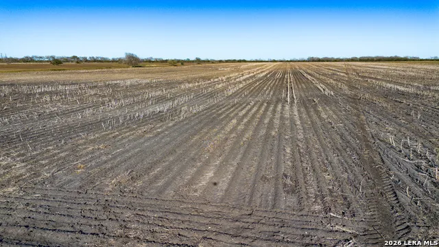 0000 FM 1349 (39.87 AC) Skidmore, TX 78389