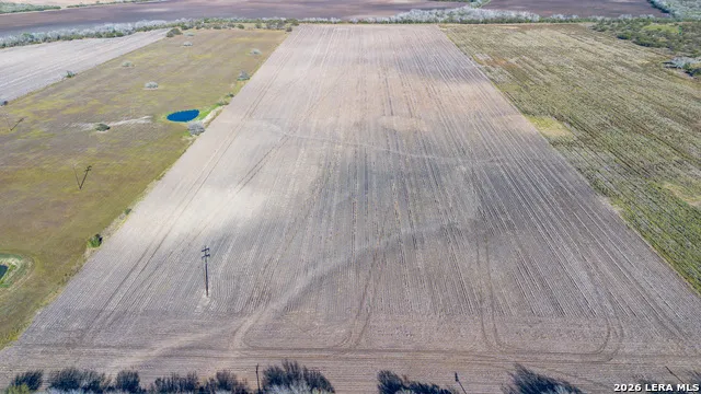 0000 FM 1349 (39.87 AC) Skidmore, TX 78389