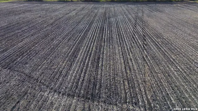 0000 FM 1349 (39.87 AC) Skidmore, TX 78389