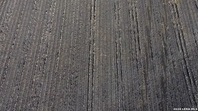 0000 FM 1349 (39.87 AC) Skidmore, TX 78389