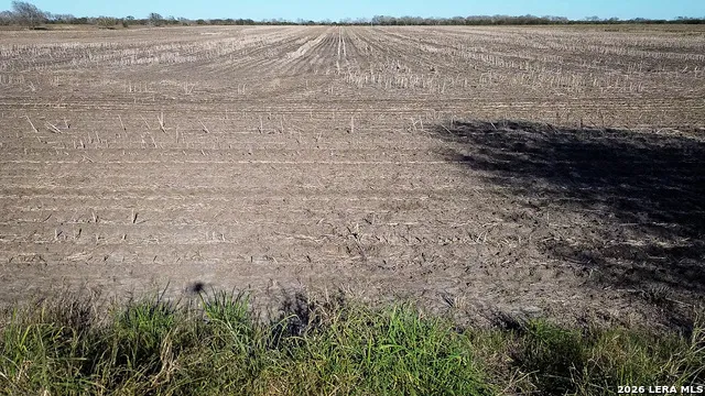 0000 FM 1349 (39.87 AC) Skidmore, TX 78389