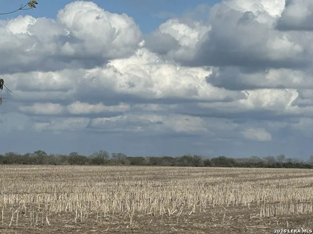 0000 FM 1349 (39.87 AC) Skidmore, TX 78389