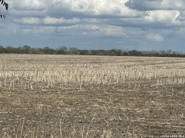 0000 FM 1349 (39.87 AC) Skidmore, TX 78389