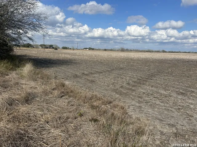 0000 FM 1349 (39.87 AC) Skidmore, TX 78389