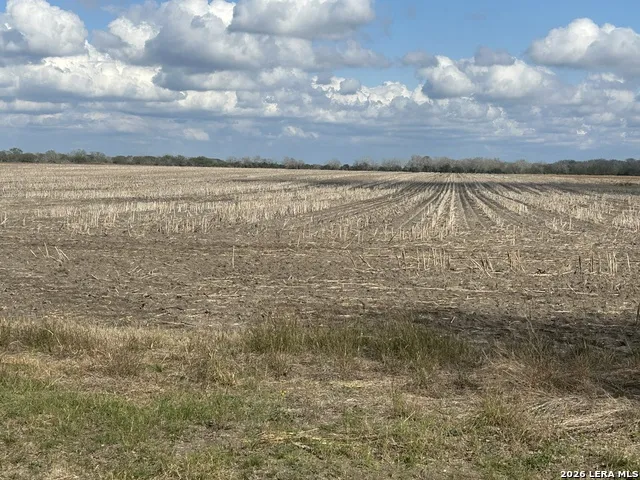 0000 FM 1349 (39.87 AC) Skidmore, TX 78389