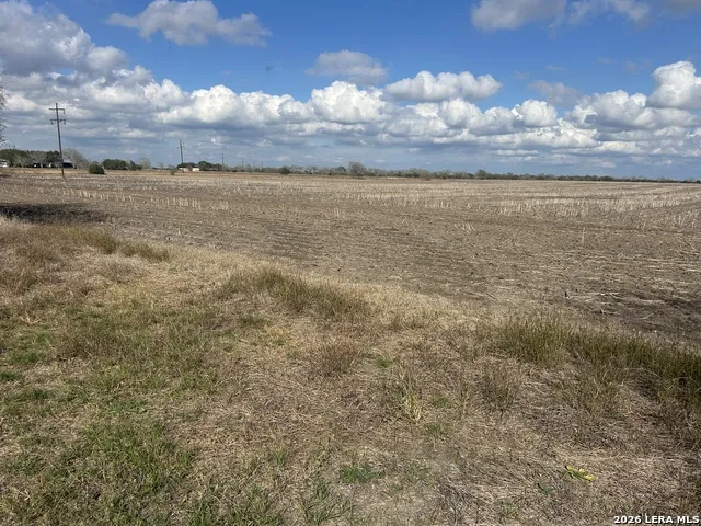 0000 FM 1349 (39.87 AC) Skidmore, TX 78389