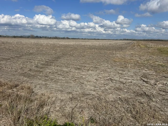 0000 FM 1349 (39.87 AC) Skidmore, TX 78389