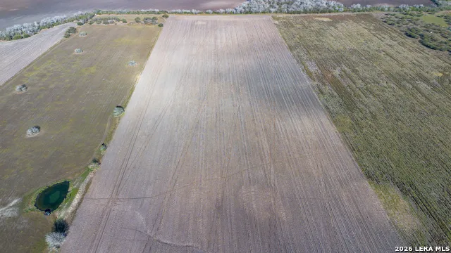 0000 FM 1349 (39.87 AC) Skidmore, TX 78389