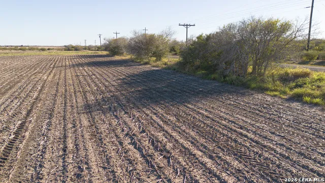 0000 FM 1349 (39.87 AC) Skidmore, TX 78389