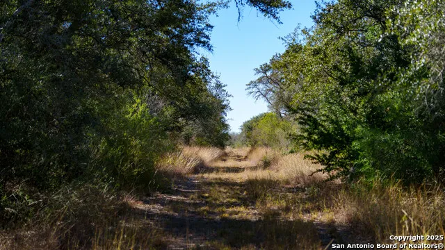 000 County Road 405 Beeville, TX 78102