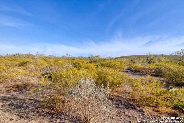 8686 us highway 90 Uvalde, TX 78801