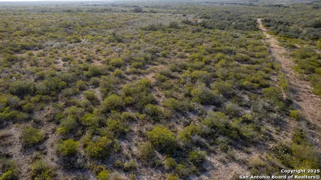 8686 us highway 90 Uvalde, TX 78801