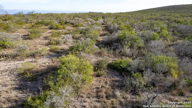 8686 us highway 90 Uvalde, TX 78801