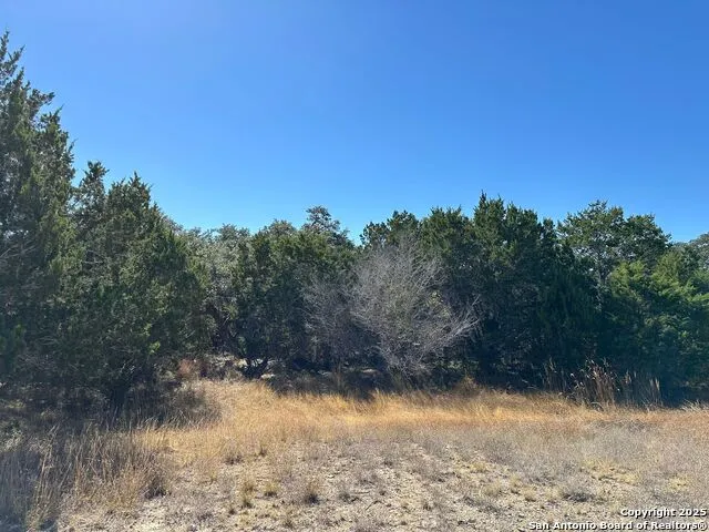 149 Tablerock Ridge Camp Verde, TX 78010