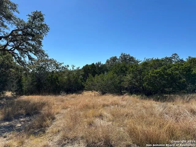 149 Tablerock Ridge Camp Verde, TX 78010