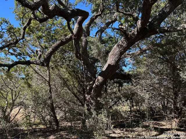 149 Tablerock Ridge Camp Verde, TX 78010