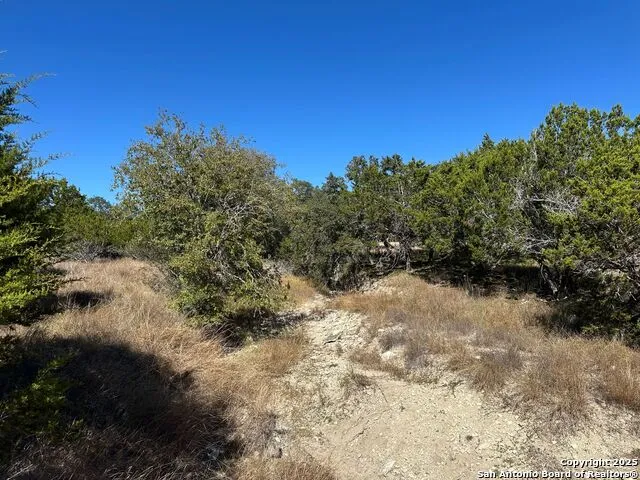 149 Tablerock Ridge Camp Verde, TX 78010