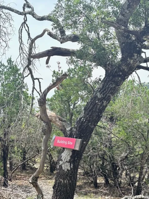 LOT 90 Bear Springs Road Pipe Creek, TX 78063