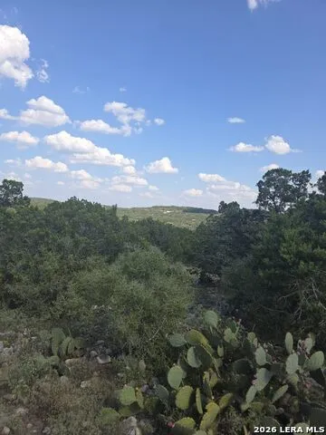 0 0 Hondo, TX 78861