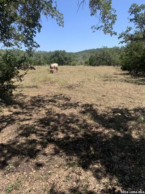 0 0 Hondo, TX 78861