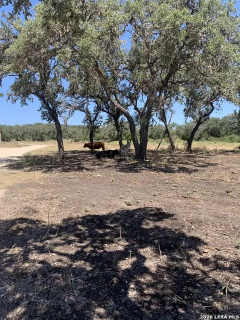 0 0 Hondo, TX 78861