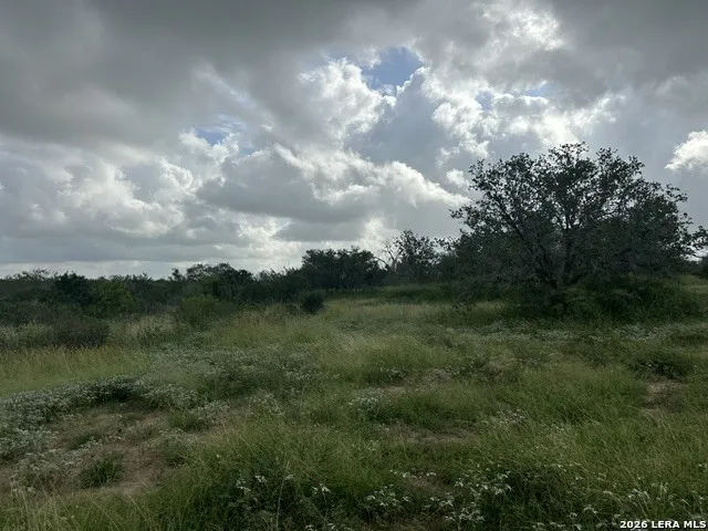 TBD Leal Rd Pleasanton, TX 78064