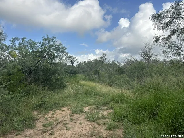 TBD Leal Rd Pleasanton, TX 78064