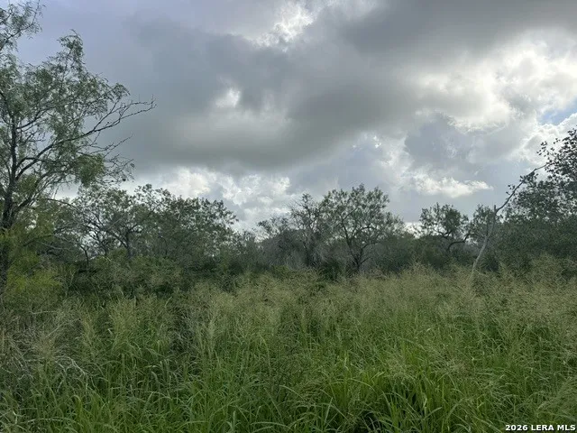 TBD Leal Rd Pleasanton, TX 78064
