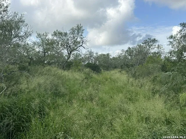 TBD Leal Rd Pleasanton, TX 78064