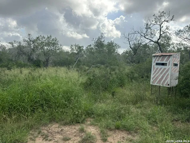 TBD Leal Rd Pleasanton, TX 78064