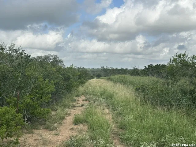 TBD Leal Rd Pleasanton, TX 78064