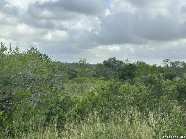 TBD Leal Rd Pleasanton, TX 78064