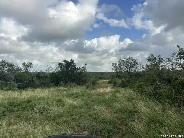TBD Leal Rd Pleasanton, TX 78064