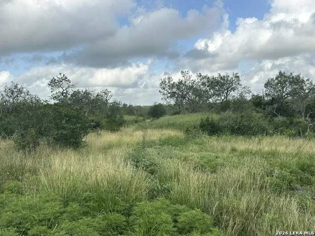 TBD Leal Rd Pleasanton, TX 78064