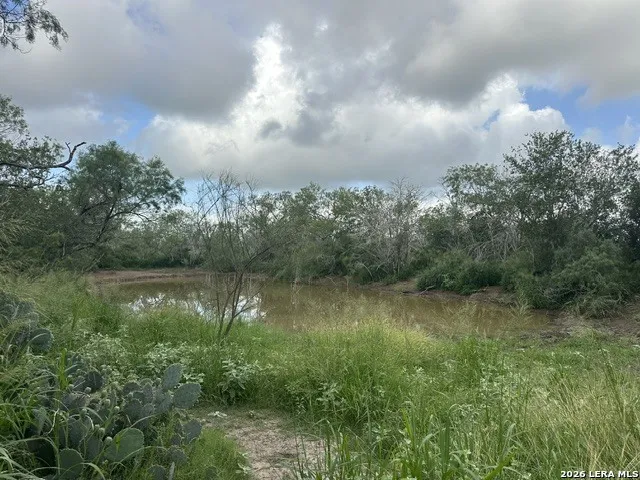 TBD Leal Rd Pleasanton, TX 78064