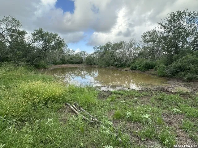 TBD Leal Rd Pleasanton, TX 78064