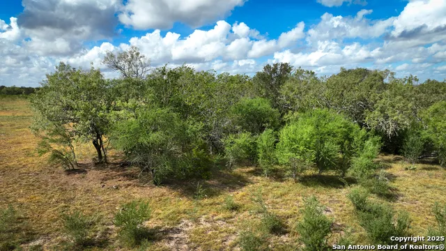 000 S Hwy 183 Gonzales, TX 78629