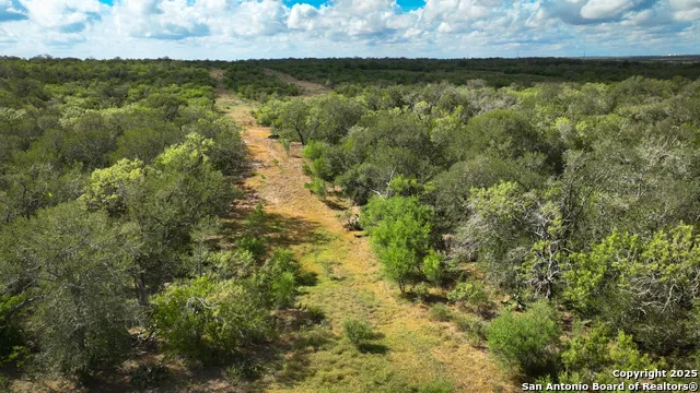 000 S Hwy 183 Gonzales, TX 78629