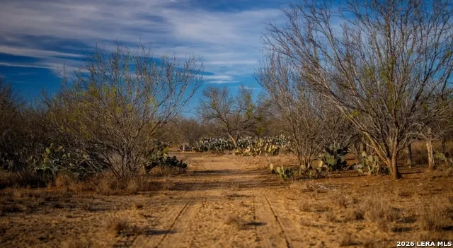 1799 Shumaca Road Carrizo Springs, TX 78834
